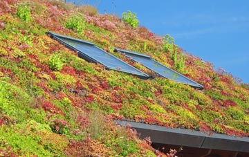Bawdsey living roof systems